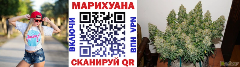 Бошки марихуана ГИДРОПОН Мирный